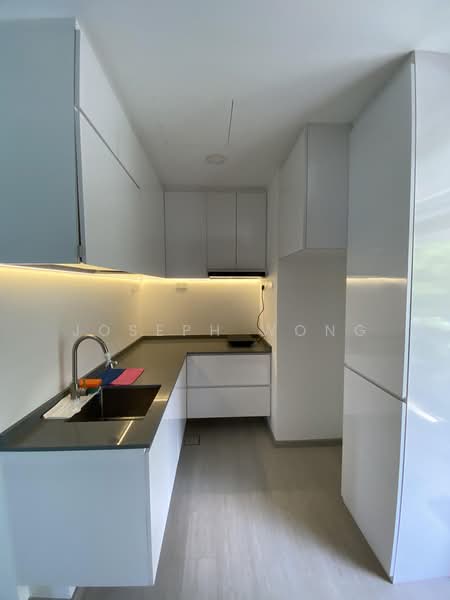 Naung Residence, 1 Jalan Naung, 1 Bedroom, 538 sqft, Apartment For Rent, by Joseph Wong, 500216612 - Kitchen - PropertyGuru.com.sg