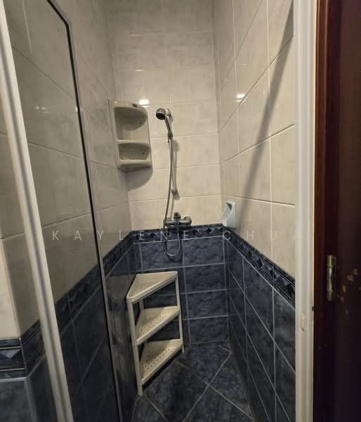 Tanglin Regency, 381 Tanglin Road, Room Rental, 150 sqft, Condominium For Rent, by Kaylene Chua, 500216667 - Bathroom - PropertyGuru.com.sg