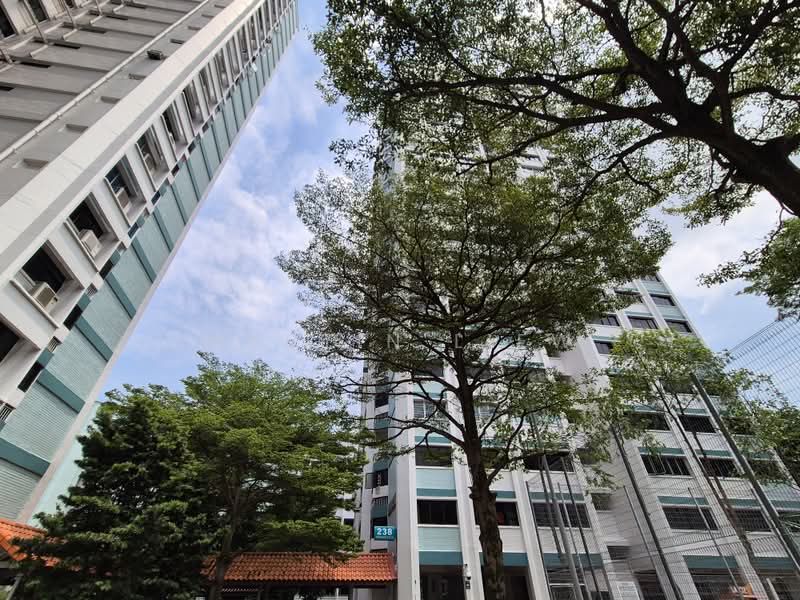 238 Jurong East Street 21, 238 Jurong East Street 21, Room Rental, 80 sqft, HDB Flat For Rent, by Martin Liew, 500216670 - Exterior - PropertyGuru.com.sg