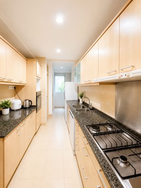 The Tessarina, 30 Wilby Road, 3 Bedrooms, 1,410 sqft, Condominium For Rent, by Andrew Tan, 500216675 - Kitchen - PropertyGuru.com.sg