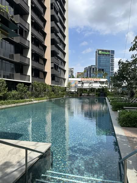 Piccadilly Grand, 5 Northumberland Road, 1 Bedroom, 517 sqft, Condominium For Sale, by Sharon Goh, 500216784 - Main pool - PropertyGuru.com.sg