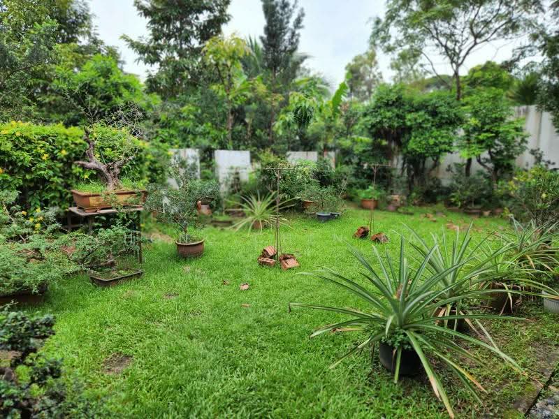 ORIGINAL FRANKEL SINGLE STOREY BUNGALOW FOR REBUILD, FRANKEL BUNGALOW ZONE, 4 Bedrooms, 2,500 sqft, Detached House For Sale, by Chong Chen Nam, 500216839 - Garden - PropertyGuru.com.sg