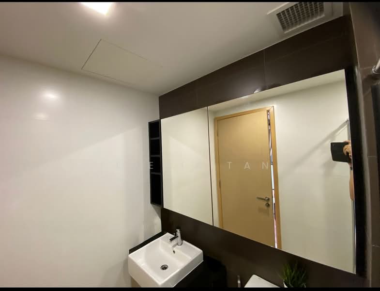 Esparina Residences, 117 Compassvale Bow, Studio, 400 sqft, Executive Condominium For Rent, by Fidelia Tan, 500216880 - Large Vanity Mirror Cabinet - PropertyGuru.com.sg