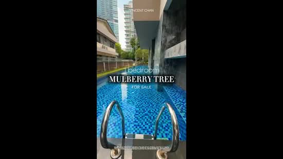 Mulberry Tree, 167 Moulmein Road, 1 Bedroom, 452 sqft, Apartment For Sale, by Vincent Chan Koon Koon, 500216960 - PropertyGuru.com.sg