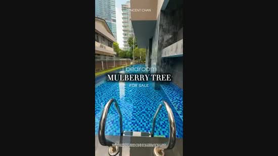 Mulberry Tree, 167 Moulmein Road, 1 Bedroom, 452 sqft, Apartment For Sale, by Vincent Chan Koon Koon, 500216960 - PropertyGuru.com.sg