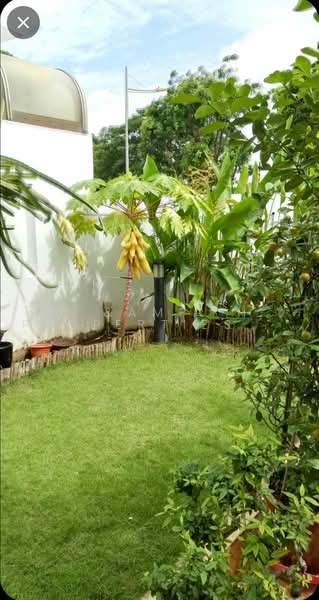 Lor Ong Lye / Lor Lew Lian, Lor Ong Lye / Lor Lew Lian, Room Rental, 110 sqft, Corner Terrace For Rent, by ANGELA HAN SIEW JONG, 500217002 - Garden - PropertyGuru.com.sg