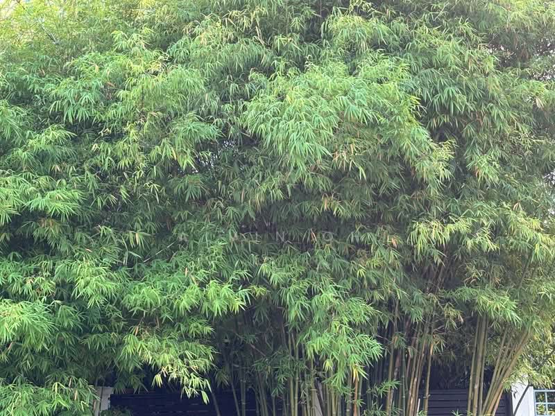 ⭐⭐LANDED7772 @ D20 Semi D land for sale !, , 3 Bedrooms, 1,600 sqft, Semi-Detached House For Sale, by Alvin Oh, 500217086 - PropertyGuru.com.sg