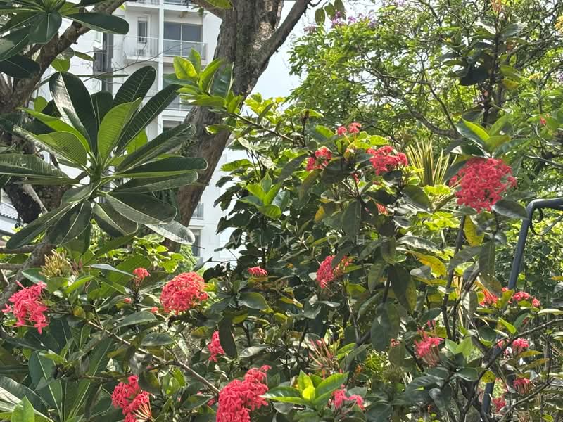 ⭐⭐LANDED7772 @ D20 Semi D land for sale !, , 3 Bedrooms, 1,600 sqft, Semi-Detached House For Sale, by Alvin Oh, 500217086 - Exterior - PropertyGuru.com.sg