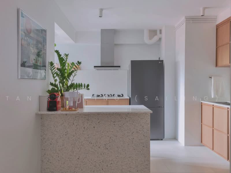 269B Queen Street, 269B Queen Street, 2 Bedrooms, 721 sqft, HDB Flat For Sale, by Tan Sai Ling (SAILING), 500217159 - Kitchen - PropertyGuru.com.sg