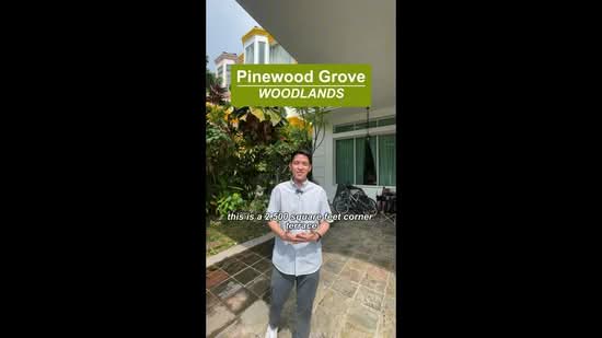 Pinewood Terrace, Pinewood Grove, 6 Bedrooms, 4,000 sqft, Terraced House For Sale, by Shawn Wee, 500217386 - PropertyGuru.com.sg
