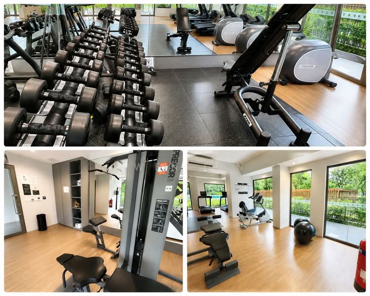 Parc Life, 25 Sembawang Crescent, 3 Bedrooms, 936 sqft, Executive Condominium For Sale, by Owen Tan, 500217638 - Gym - PropertyGuru.com.sg