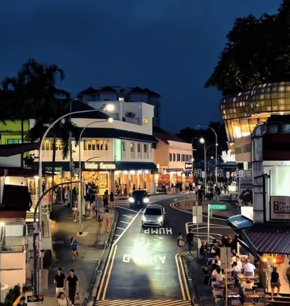 Holland Village Shophouses, Holland Village Holland Ave, 1,680 sqft, Shop / Shophouse For Rent, by Kevin Aw 胡锦胜, 500217916 - Exterior - CommercialGuru.com.sg