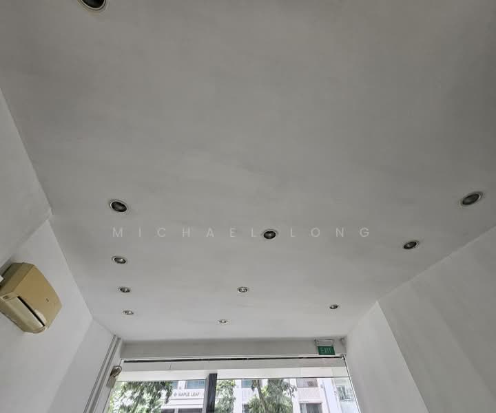 SUITES 123 Rangoon Road, Rangoon Road, 398 sqft, Shop / Shophouse For Rent, by Michael Long, 500218157 - Interior - CommercialGuru.com.sg