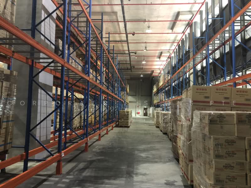 Ground Floor Food Warehouse 50000sqft Chin Bee / International Road, Chin Bee / International Road / Enterprise Road, 58,000 sqft, Factory / Workshop (B2) For Rent, by RONN, 500218278 - Interior - CommercialGuru.com.sg