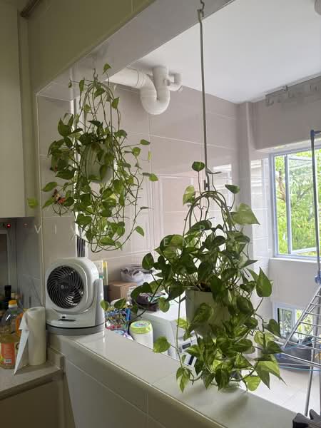 326 Tampines Street 32, 326 Tampines Street 32, 4 Bedrooms, 1,593 sqft, HDB Flat For Sale, by Vivian Yip Sze Yuen, 500218311 - Kitchen - PropertyGuru.com.sg