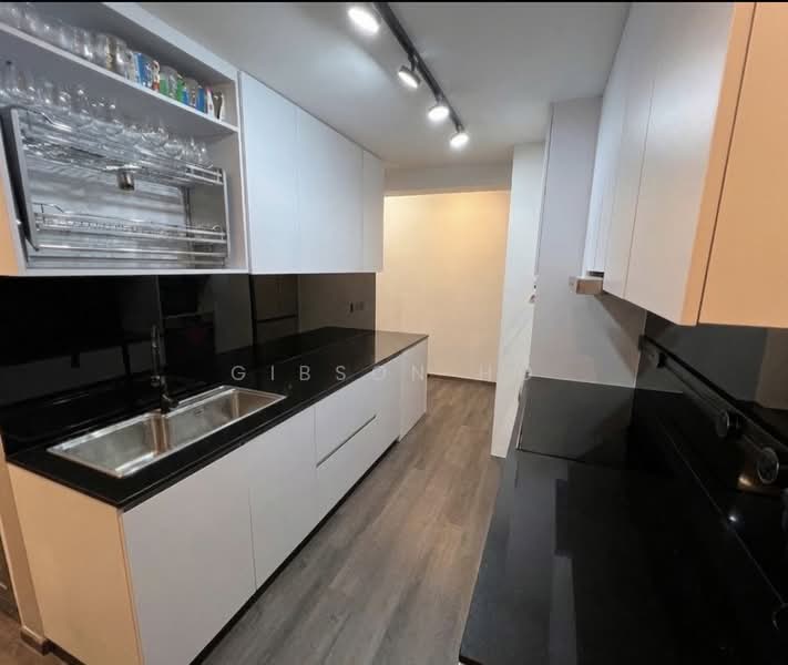River Place, 60 Havelock Road, 1 Bedroom, 808 sqft, Condominium For Sale, by Gibson Ho, 500218312 - Kitchen - PropertyGuru.com.sg