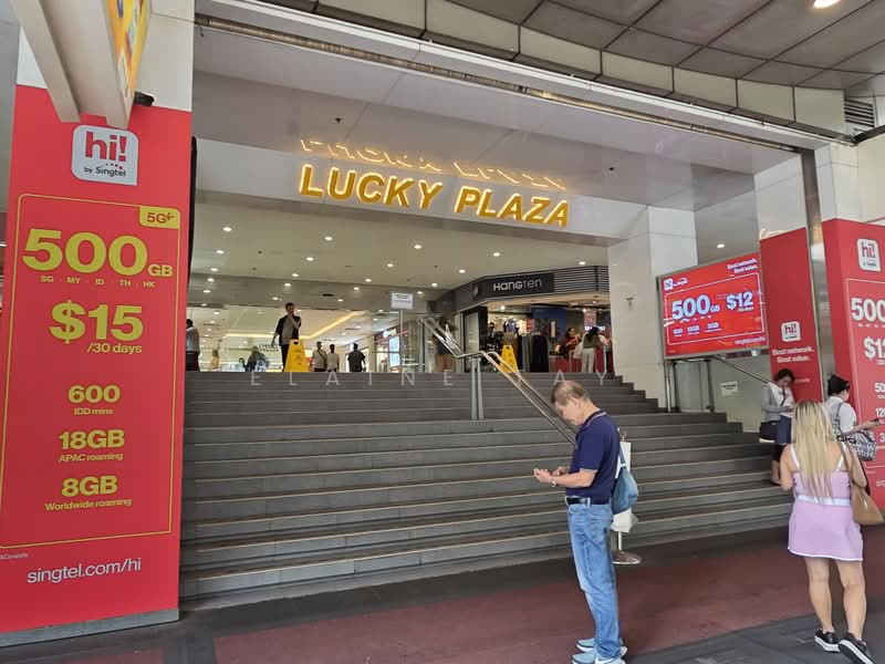 Lucky Plaza, 304 Orchard Road, 382 sqft, Mall Shop For Rent, by Elaine Tay, 500218439 - CommercialGuru.com.sg