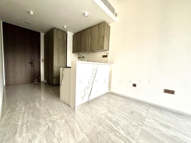 Leedon Green, 32 Leedon Heights, 1 Bedroom, 603 sqft, Condominium For Sale, by Catherine Chua, 500218504 - Kitchen - PropertyGuru.com.sg