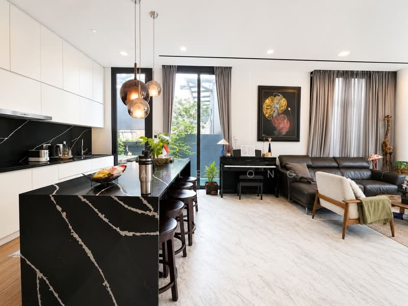 ⭐️Best Modern House in Novena w Lift, Near SJI, , 5 Bedrooms, 4,633 sqft, Semi-Detached House For Sale, by Charles Ong, 500218659 - Kitchen - PropertyGuru.com.sg