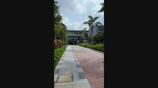 Brand New TOP Cluster Semi-D in Belgravia Ace | Freehold |Best Unit In Development ★Eminence Landed★, Belgravia Ace, Belgravia Drive, 5 Bedrooms, 4,058 sqft, Cluster House For Sale, by Clarry Au, 500218764 - PropertyGuru.com.sg