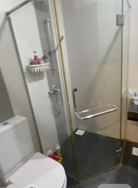 Palmera East, 29 Lorong Melayu, 1 Bedroom, 421 sqft, Apartment For Rent, by James Lee, 500219038 - Bathroom - PropertyGuru.com.sg