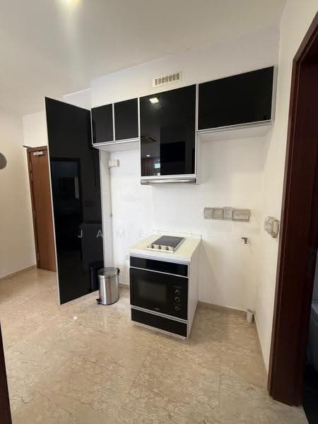 Palmera East, 29 Lorong Melayu, Eunos / Geylang / Paya Lebar, 1 Bedroom, 421 sqft, Apartment For Rent, by James Lee, 500219038 - Kitchen - PropertyGuru.com.sg