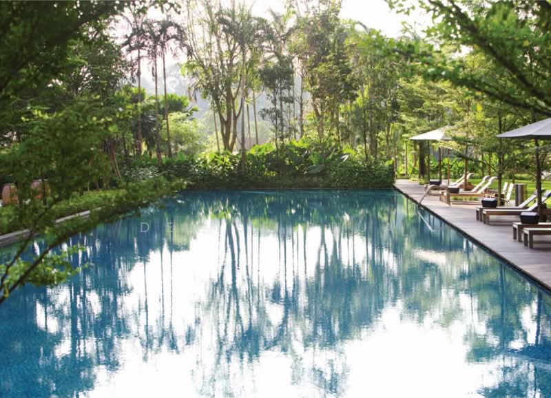 Hilltops, 99 Cairnhill Circle, 3 Bedrooms, 1,711 sqft, Condominium For Rent, by Denise Phua, 500219183 - Pool - PropertyGuru.com.sg