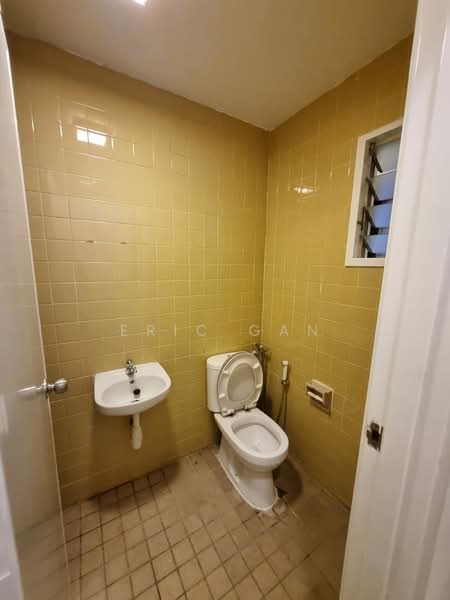 The Cairnhill, 4 Cairnhill Rise, 4 Bedrooms, 2,788 sqft, Apartment For Rent, by Eric Gan, 500219285 - Yard WC - PropertyGuru.com.sg