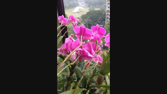 323D Sumang Walk, 323D Sumang Walk, 3 Bedrooms, 1,216 sqft, HDB Flat For Sale, by Lily Tan, 500219309 - PropertyGuru.com.sg