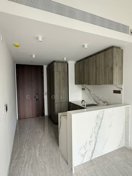 Leedon Green, 32 Leedon Heights, 1 Bedroom, 602 sqft, Condominium For Sale, by Carol Quek, 500219385 - Kitchen - PropertyGuru.com.sg