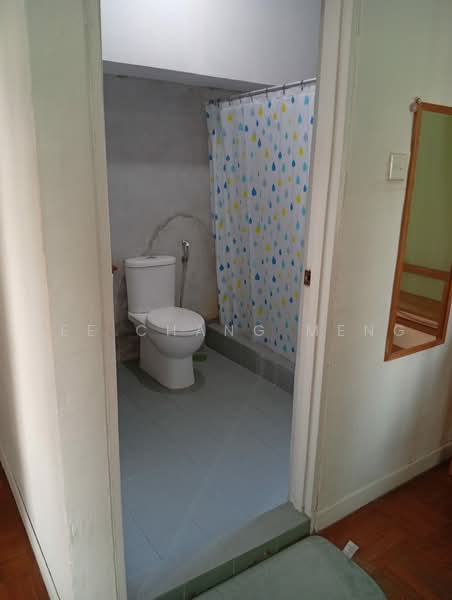 Mandalay Towers, 35 Mandalay Road, Room Rental, 18 sqft, Condominium For Rent, by Lee Chang Meng, 500219394 - Bathroom - PropertyGuru.com.sg