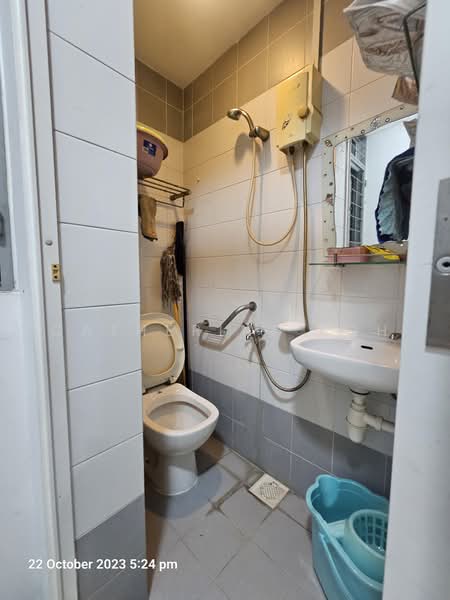 Lakeholmz, 86 Corporation Road, 3 Bedrooms, 1,249 sqft, Condominium For Sale, by Catherine Koh, 500219526 - Yard Bathroom - PropertyGuru.com.sg