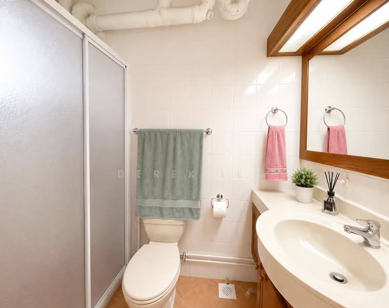 971 Hougang Street 91, 971 Hougang Street 91, 3 Bedrooms, 1,248 sqft, HDB Flat For Sale, by Derek Lee, 500219740 - Master Bathroom - PropertyGuru.com.sg