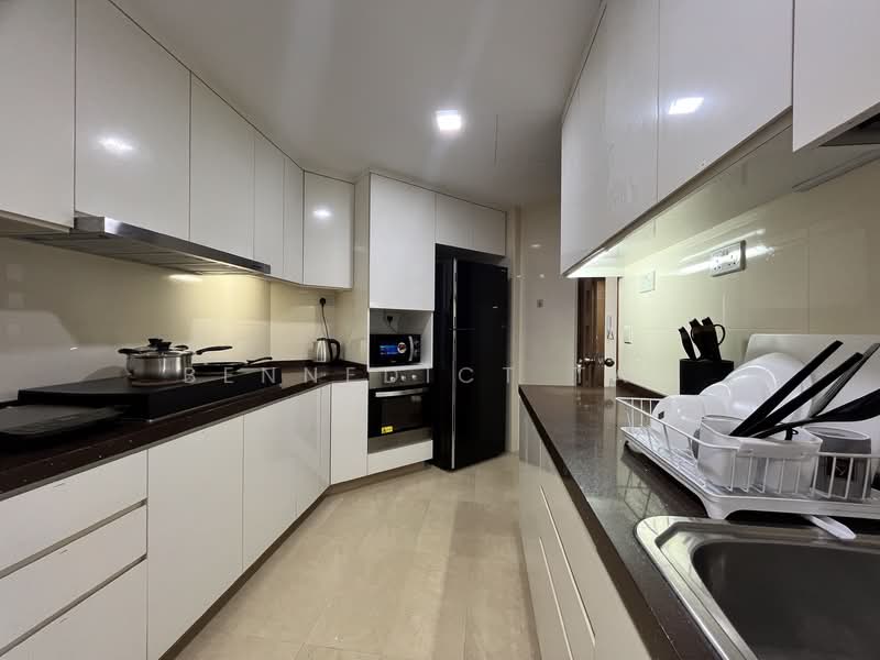 The Blossomvale, 900 Dunearn Road, Room Rental, 200 sqft, Condominium For Rent, by Bennedict Tan, 500219763 - Kitchen - PropertyGuru.com.sg