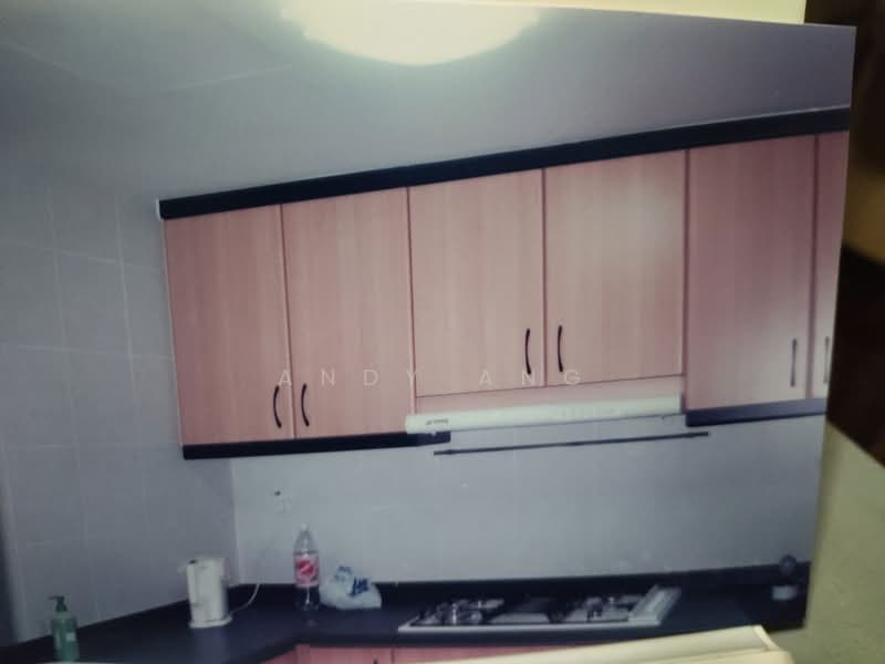 Palm Gardens, 2D Hong San Walk, 3 Bedrooms, 1,206 sqft, Condominium For Sale, by Andy Ang, 500219923 - Kitchen - PropertyGuru.com.sg