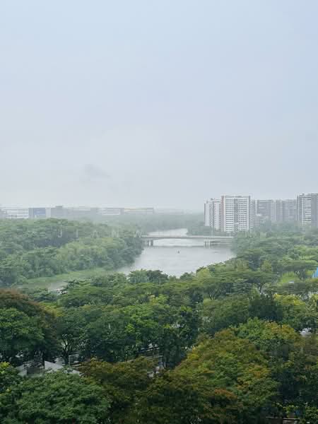 121B Rivervale Drive, 121B Rivervale Drive, 3 Bedrooms, 980 sqft, HDB Flat For Rent, by JIANWEN LIN, 500220083 - View - PropertyGuru.com.sg