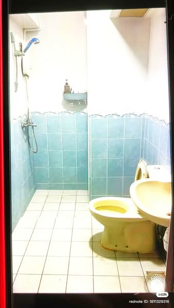 79E Toa Payoh Central, 79E Toa Payoh Central, Room Rental, 120 sqft, HDB Flat For Rent, by Steven Choo, 500220420 - Bathroom - PropertyGuru.com.sg