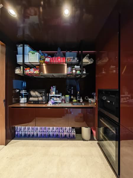 3 Orchard By-The-Park, 3 Orchard Boulevard, 3 Bedrooms, 2,583 sqft, Condominium For Sale, by Vivian Song, 500220667 - Kitchen - PropertyGuru.com.sg