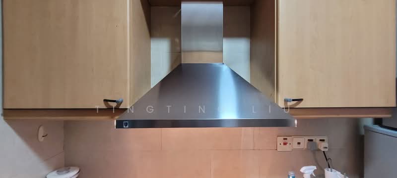 Nineteen Shelford, 19 Shelford Road, 1 Bedroom, 721 sqft, Condominium For Rent, by Tingting Liu, 500220807 - Kitchen - PropertyGuru.com.sg