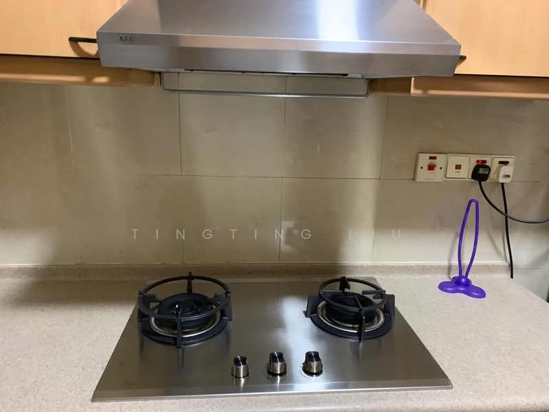 Nineteen Shelford, 19 Shelford Road, 1 Bedroom, 721 sqft, Condominium For Rent, by Tingting Liu, 500220807 - Kitchen - PropertyGuru.com.sg