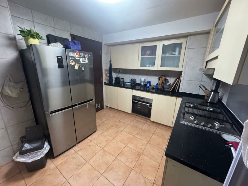 UE Square, 205 River Valley Road, Room Rental, 1,500 sqft, Apartment For Rent, by Tini Yeoh, 500220836 - Kitchen - PropertyGuru.com.sg