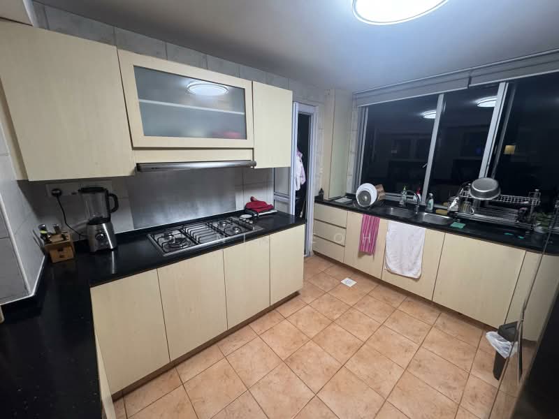 UE Square, 205 River Valley Road, Room Rental, 1,500 sqft, Apartment For Rent, by Tini Yeoh, 500220836 - Kitchen - PropertyGuru.com.sg