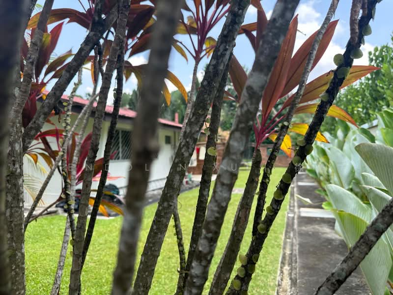 Binjai Park, , 4 Bedrooms, 5,000 sqft, Good Class Bungalow For Sale, by Gwendolyn Xu ( 徐瀞 ), 500221080 - PropertyGuru.com.sg