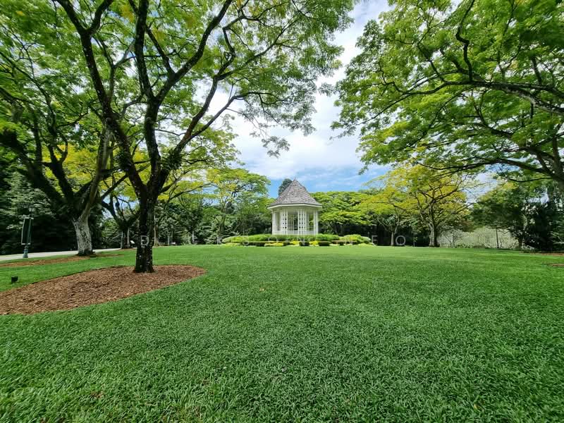 Nassim Dalvey Cluny Botanic Garden 植物园 Wide Frontage Lush Greenery 富豪优质洋房 9488.4080, , 5 Bedrooms, 3,500 sqft, Good Class Bungalow For Sale, by Dickson Neo, 500221253 - Garden - PropertyGuru.com.sg