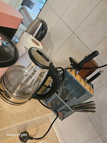Teresa Ville, 1005 Lower Delta Road, Room Rental, 180 sqft, Condominium For Rent, by Alex Poh, 500221326 - Kitchen - PropertyGuru.com.sg