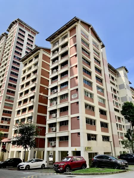 250 Bishan Street 22, 250 Bishan Street 22, 3 Bedrooms, 1,119 sqft, HDB Flat For Rent, by Jeslyn Lim 林瑞香, 500221419 - Exterior - PropertyGuru.com.sg