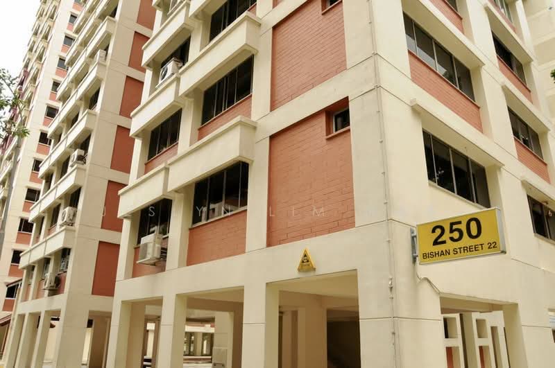250 Bishan Street 22, 250 Bishan Street 22, 3 Bedrooms, 1,119 sqft, HDB Flat For Rent, by Jeslyn Lim 林瑞香, 500221419 - Exterior - PropertyGuru.com.sg