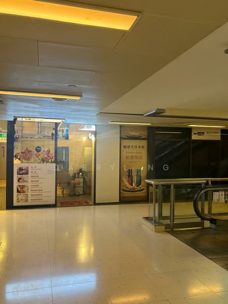 Cuppage Plaza, 5 Koek Road, 200 sqft, Mall Shop For Rent, by Darryl Ng, 500221600 - Interior - CommercialGuru.com.sg