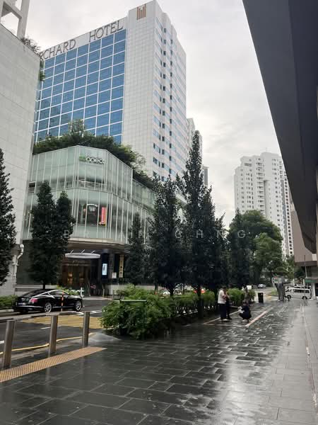 Forum Galleria Shopping Centre, 583 Orchard Road, 2,378 sqft, Food & Beverage For Rent, by Brian Chng, 500221771 - Exterior - CommercialGuru.com.sg