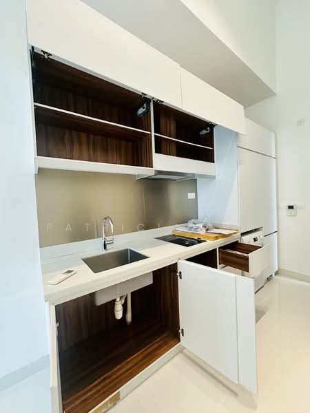 Neem Tree, 30 Jalan Kemaman, 1 Bedroom, 452 sqft, Apartment For Rent, by Patricia Koh, 500222031 - Kitchen - PropertyGuru.com.sg
